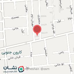 عکس کفش سعدی