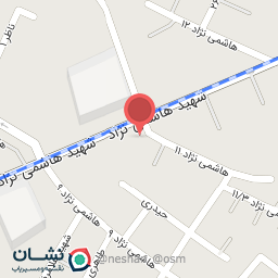 عکس پیتزا همبرگر 11