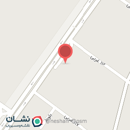 عکس پیتزا آویش