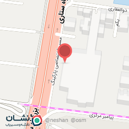 عکس کیف و کفش لاویا