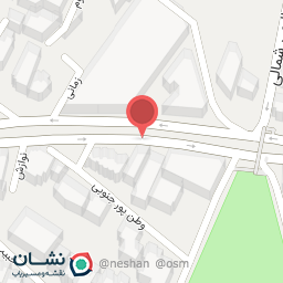 عکس شهید صالحی