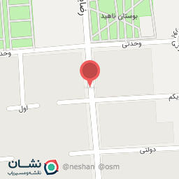 عکس مش برگر