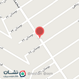 عکس چاپ رسام