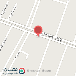 عکس لاستیک فروشی دانا