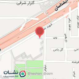 عکس شوینده بهداشتی پارسا