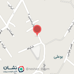 عکس کیف و کفش پویا