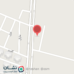 عکس فرش پاتریس