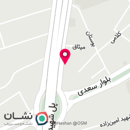 عکس چلوکبابی سیفی