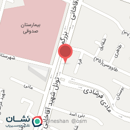 عکس خرازی خاتون