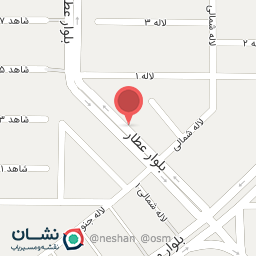 عکس فرش پناهی 