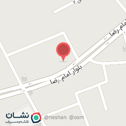 عکس کفش پالایک