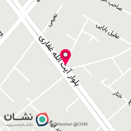 عکس پیتزا مادر جون