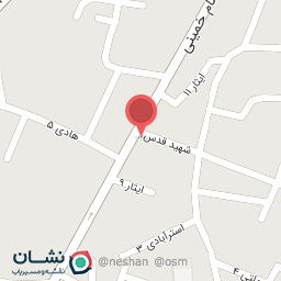 عکس کفش فیل بابل