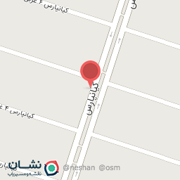 عکس دکتر نیلساز روانپزشک درمانگر تحلیلی