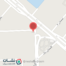 عکس اتوسرویس و آپاراتی مهدی