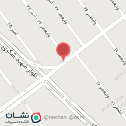 عکس کیف و کفش ولیعصر