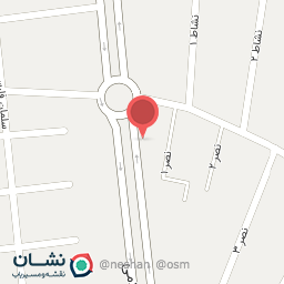 عکس پیتزا و ساندیوچی لذیذ