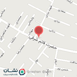 عکس فلافل و همبرگر سلام