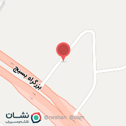 عکس اتو رنگ حسین تگزاس