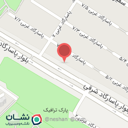 عکس غذای بیرون بر گیشا