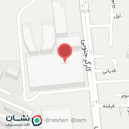 عکس سیرک ریکو