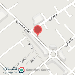 عکس کفش ملی 1858