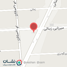 عکس تهیه غذای آدلی