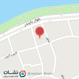 عکس مسجد سید علوی