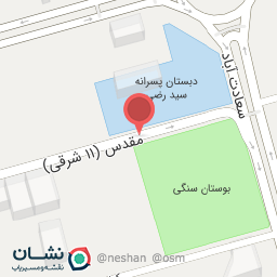 عکس نوآوران آزمون تسلا