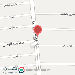 عکس فلافل امیر و امین