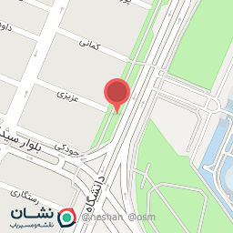 عکس پیتزا و ساندویچ مهرداد