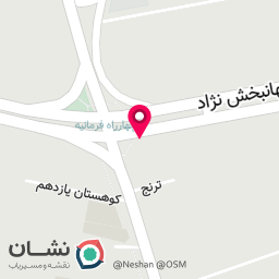 عکس همراه مکانیک شعبه ای‌وان