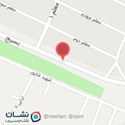 عکس اتو سرویس ۲۰۶