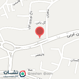 عکس آجیل و خشکبار ساعی