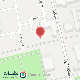 عکس دکتر نیره السادات خیام نکویی