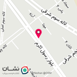 عکس سبزی خرد کنی صداقت
