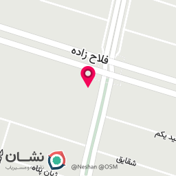 عکس رستوران ایرانی برنج