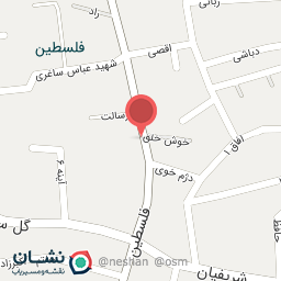 عکس کیف و کفش آلامد