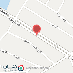 عکس آجیلی دادخواه 