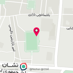 عکس کفش رضا 