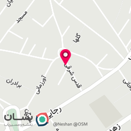 عکس مکانیکی جلوبندی برغمدی  