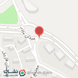 عکس مادر 1732