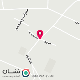 عکس فست فود و پیتزا  DELIVO