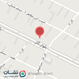 عکس فست فود پویان