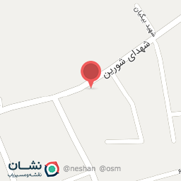 عکس تهیه غذا نادری