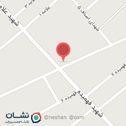 عکس پروتئینی دلفین