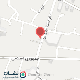 عکس آجیل و خشکبار سعید کلوانی 3