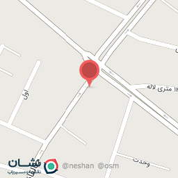 عکس زیتون اوجاقی (پخش زیتون هاکان)