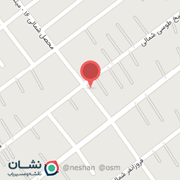 عکس شوینده تک