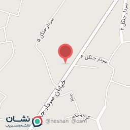 عکس قصابی علی نیا